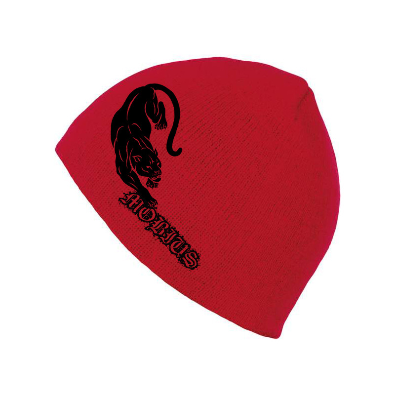 BRONX MOBIUS panthère