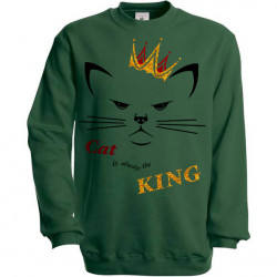 Pull Cat is always the king