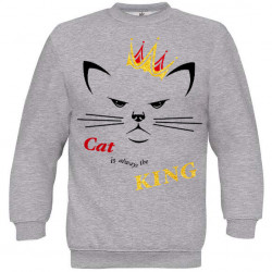 Pull Cat is always the king