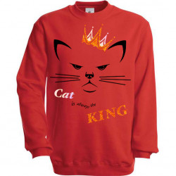 Pull Cat is always the king